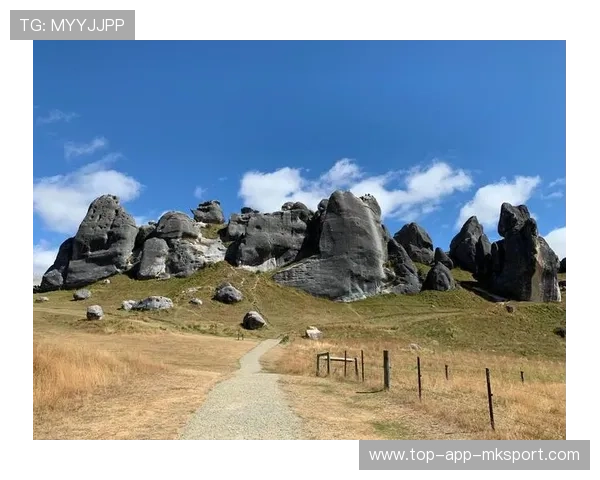 新西兰稳中带狠，一点不给对手机会，新西兰如何